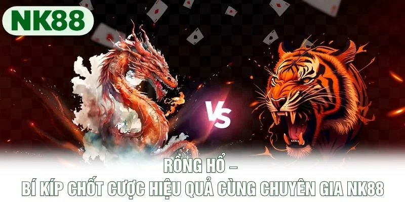 Rồng Hổ – Bí Kíp Chốt Cược Hiệu Quả Cùng Chuyên Gia NK88