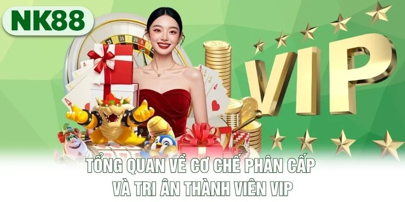 Tổng quan về cơ chế phân cấp và tri ân thành viên VIP Tổng quan về cơ chế phân cấp và tri ân thành viên VIP